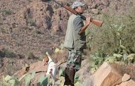 Forêts du Maroc 2020-2030: La redynamisation du secteur de la chasse au centre d'une réunion à Rabat