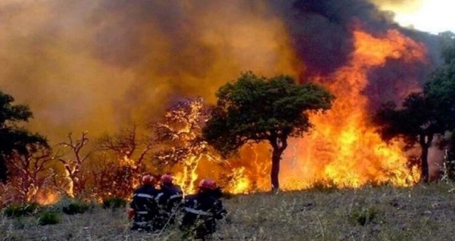 Incendies: Les flammes continuent de ravager des forêts du nord de l’Algérie