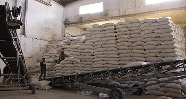 Guelmim-Oued Noun : Distribution de près de 85.000 qtx d’orge subventionnée aux agriculteurs