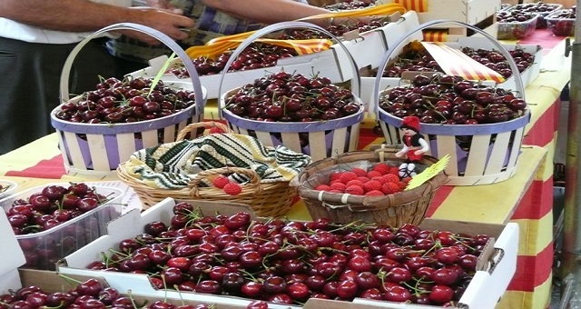 Sefrou: 100 cerisiers pour le centenaire du Festival des cerises