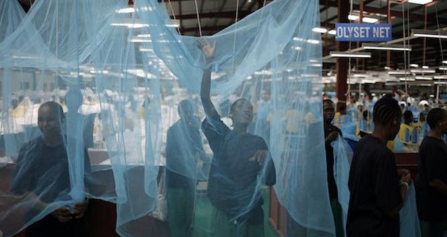 Un nouveau type de moustiquaire a « empêché » 13 millions de cas de paludisme en Afrique