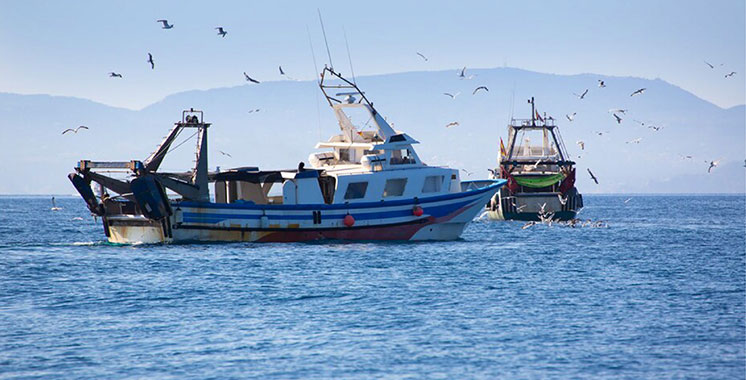 Pêche maritime: Le Maroc est ouvert aux partenariats alignés sur les intérêts communs